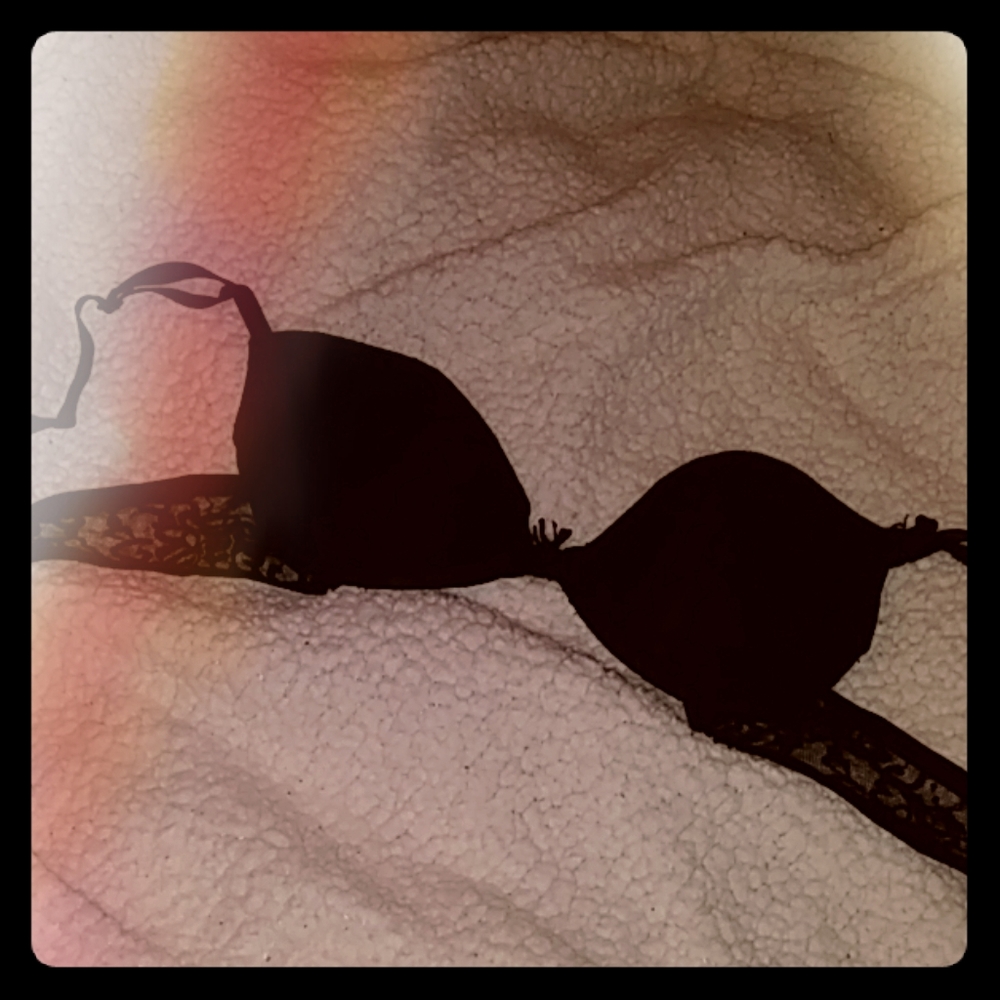 ❤ Smart & Sexy Lacy Black Padded Bra